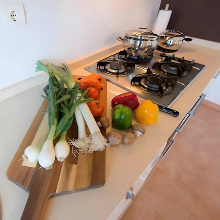 Bizkar Bare 4 Apartman *